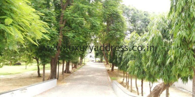 4BHK Semi-Furnished Farmhouse Bandh Road Delhi - Luxury Address