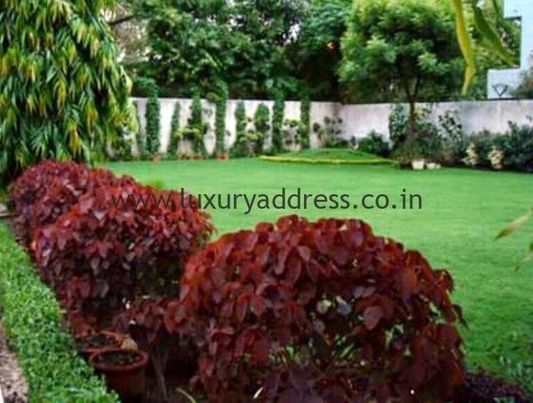 Rent 4BHK Independent House Vasant Vihar South Delhi - Luxury Address